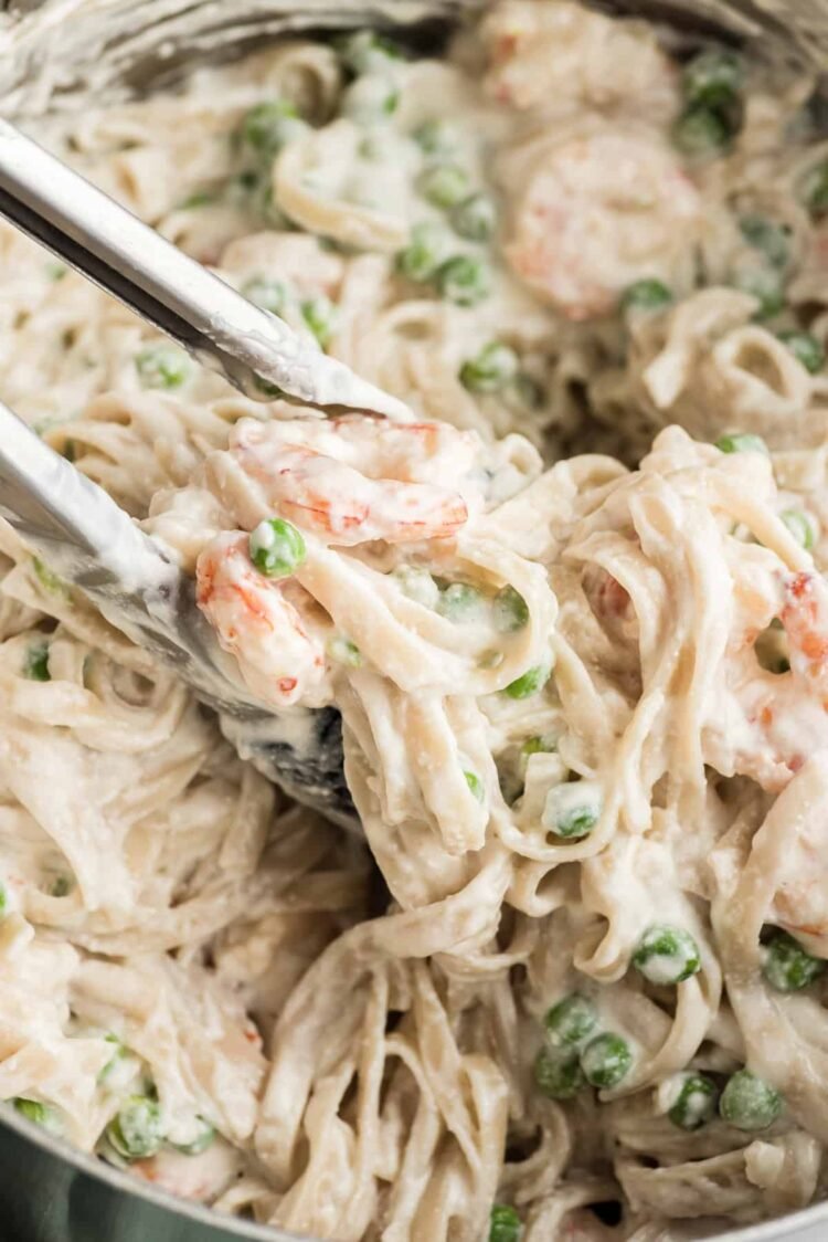 Straightforward Cottage Cheese Alfredo with Shrimp (20 Minutes)