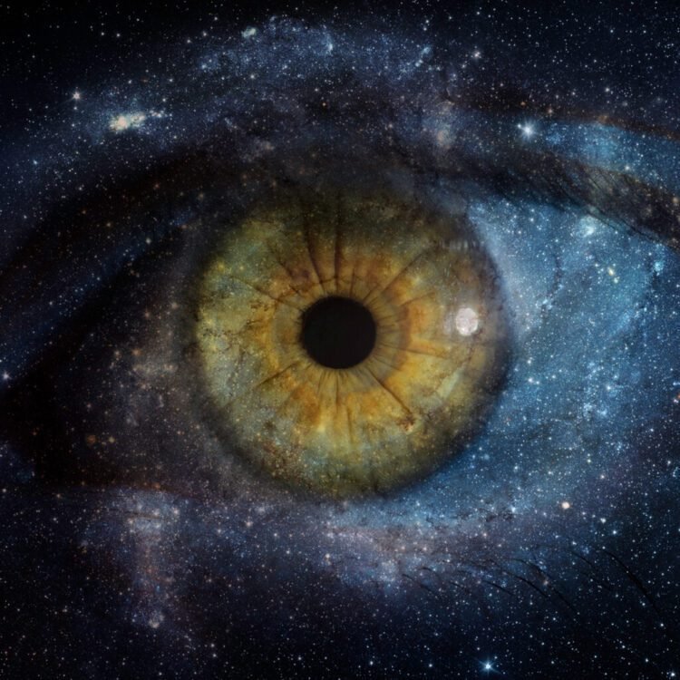 Perception Hour with Joseph Goldstein – Ep. 254 – The Thriller of Consciousness – Be Right here Now Community 2025