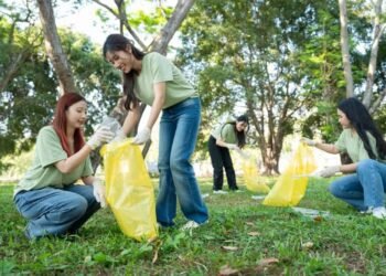How litter choosing turned a aggressive sport