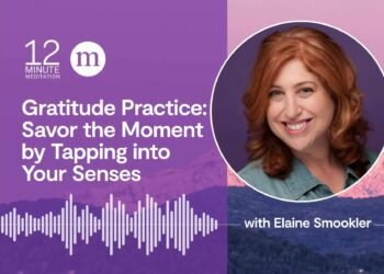 Gratitude Observe: Savor the Second