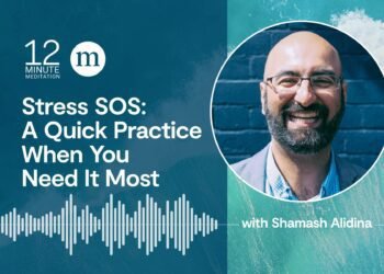 Busy Occasions, or Anytime: 9 Methods Mindfulness Reduces Stress