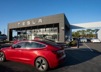 Tesla used misleading language to market Autopilot, California decide guidelines