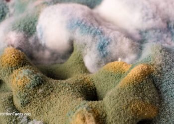 Are the Results of Ochratoxin Regarding?