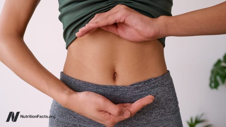 Can Vegan Fecal Transplants Decrease TMAO Ranges?