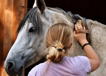 Positively Uplifting Tales | December 15 2025