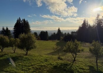 Awake to Your Personal Awakeness