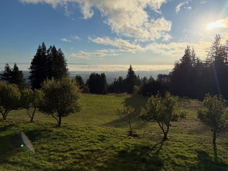 Awake to Your Personal Awakeness