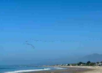 Like Wind in a Huge, Empty Sky