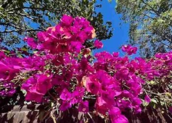 Central Channel Mandala Visualization – Deconstructing Your self