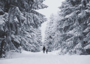 Overcome the Edmonton Winter Hunch: 7 Productiveness Habits