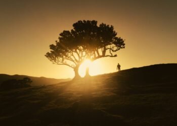 20 Issues My Now 82-Yr-Previous Father Was Proper About All Alongside