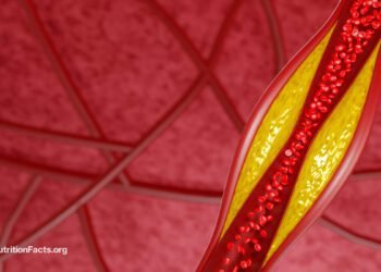 How Low Can LDL Ldl cholesterol Go on PCSK9 Inhibitors?