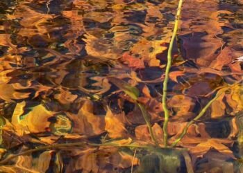 Deep Leisure into Nondual Openness