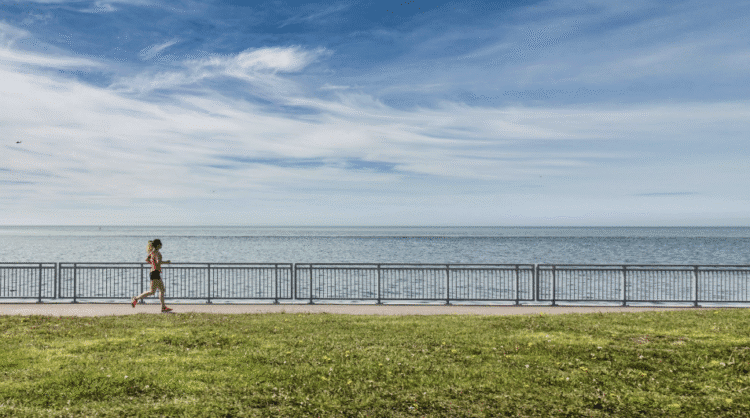 Have a More healthy (& Happier) Way of life With Sensible Ideas » Civilized Caveman