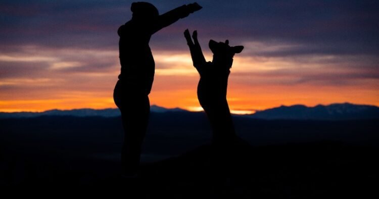 See Good Intentions – Rick Hanson, PhD