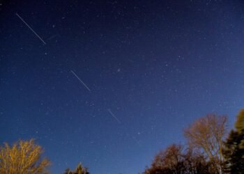 Starlink is reducing hundreds of satellites’ orbits to cut back danger of collisions