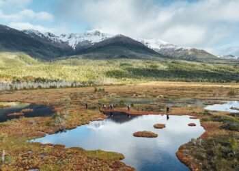 What went proper this week: the excellent news that issues