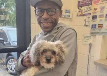 Man by no means gave up on his lacking canine—and what occurred subsequent proved love by no means fades