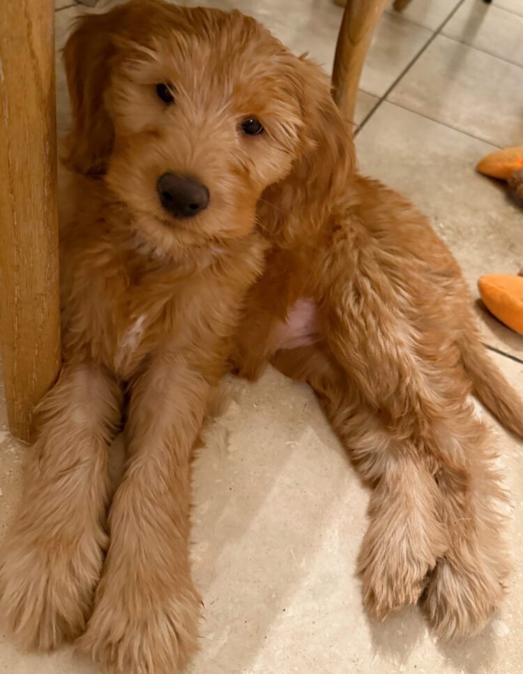 1.9 Friday Faves – The Fitnessista