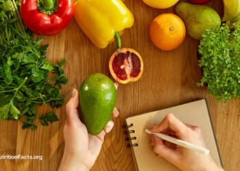 Retaining Higher Rating of Your Food plan