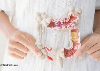 Which Meals Assist a Leaky Intestine?