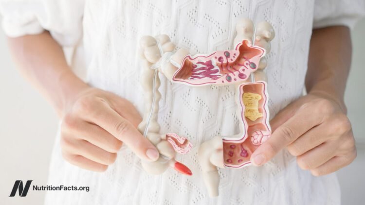 Which Meals Assist a Leaky Intestine?