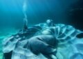 This underwater sculpture will quickly be a sanctuary for marine life