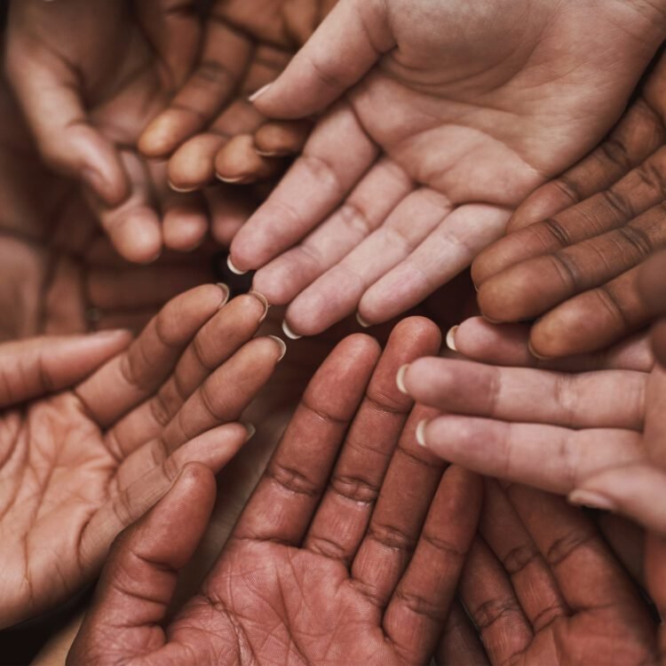 Illuminating Our Frequent Humanity with Anne Lamott and Tami Simon – Be Right here Now Community 2026