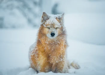 Doing Much less May Be Precisely What You Want Proper Now