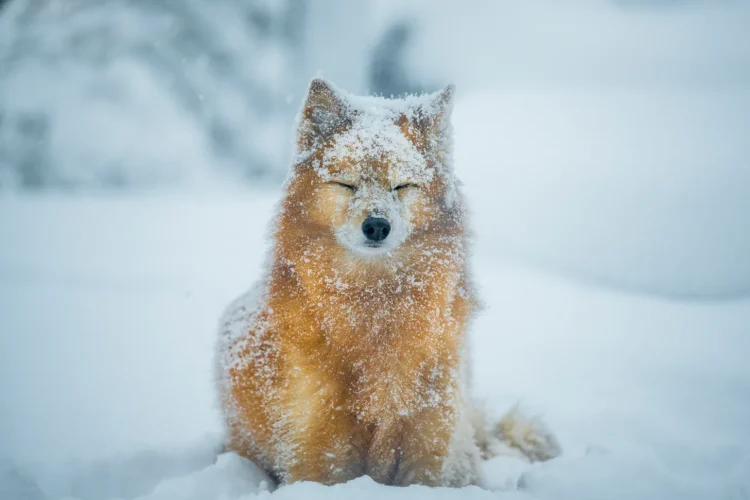 Doing Much less May Be Precisely What You Want Proper Now