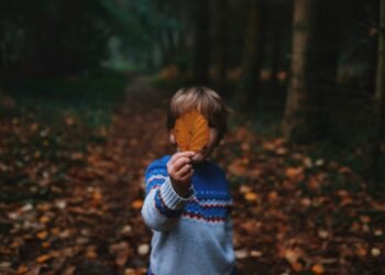 stronger hyperlinks to grownup psychological well being than bodily violence