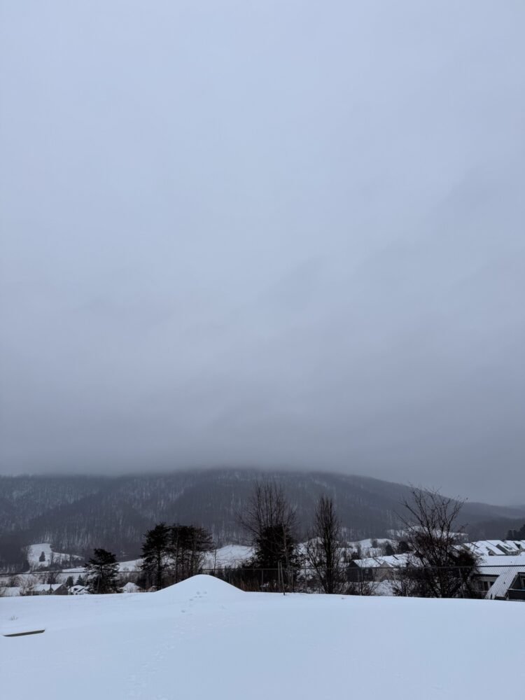 Snow + Sleet • Kath Eats