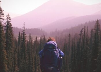 Develop Interior Strengths – Rick Hanson, PhD