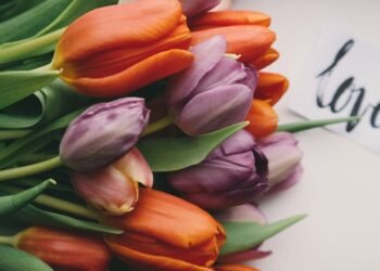 Love Freely – Rick Hanson, PhD