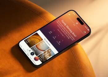 Fitbit founders launch Luffu, a option to combine your loved ones’s well being knowledge