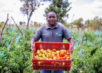 Regenerative agriculture sows success in Kenya