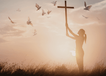 What’s the Distinction and Why It Issues |