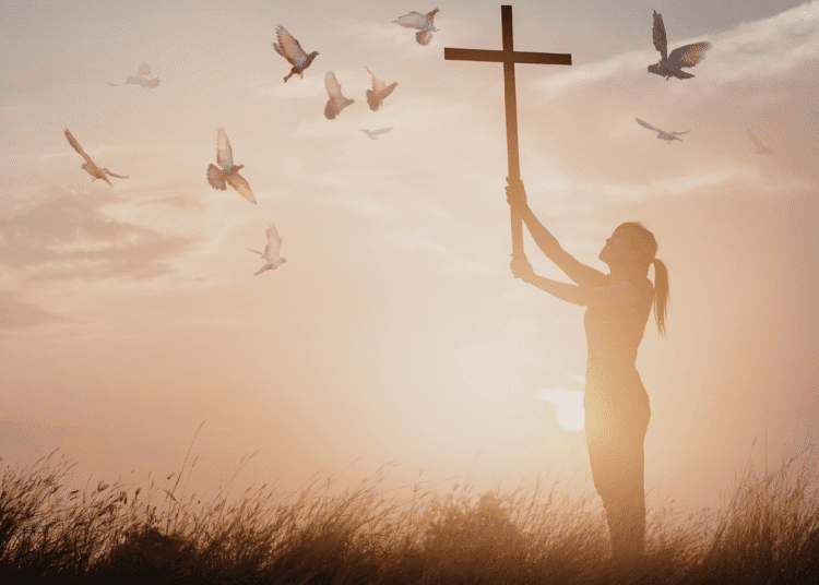 What’s the Distinction and Why It Issues |