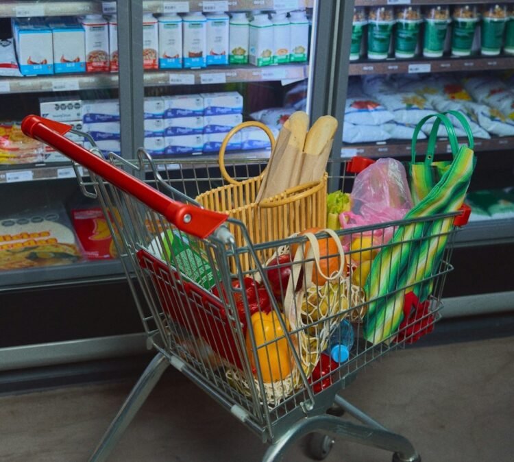 Why the Meals Pyramid Is Being Talked About (Once more)