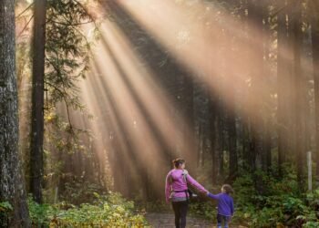 findings from a qualitative examine