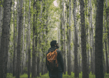 Enhance total well-being in 6 months: Easy plan