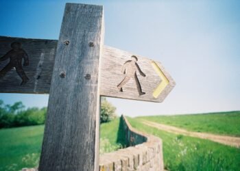 How you can Use Willpower Day to Get Failed Resolutions Again on Observe