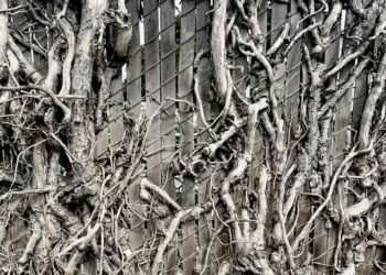 Stick with the Grief  – Deconstructing Your self