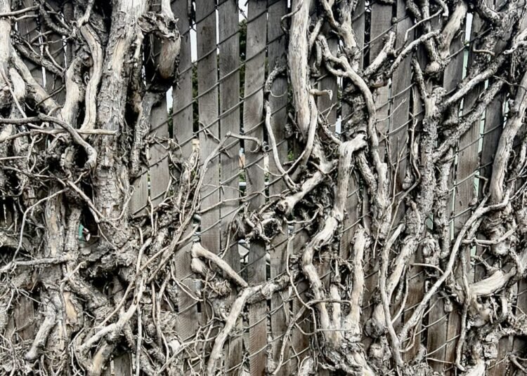 Stick with the Grief  – Deconstructing Your self