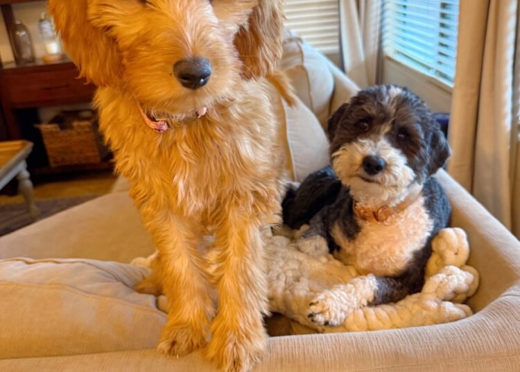 2.6 Friday Faves – The Fitnessista