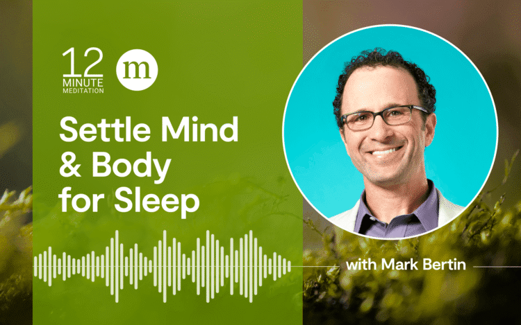 A Meditation to Settle Thoughts and Physique for Sleep