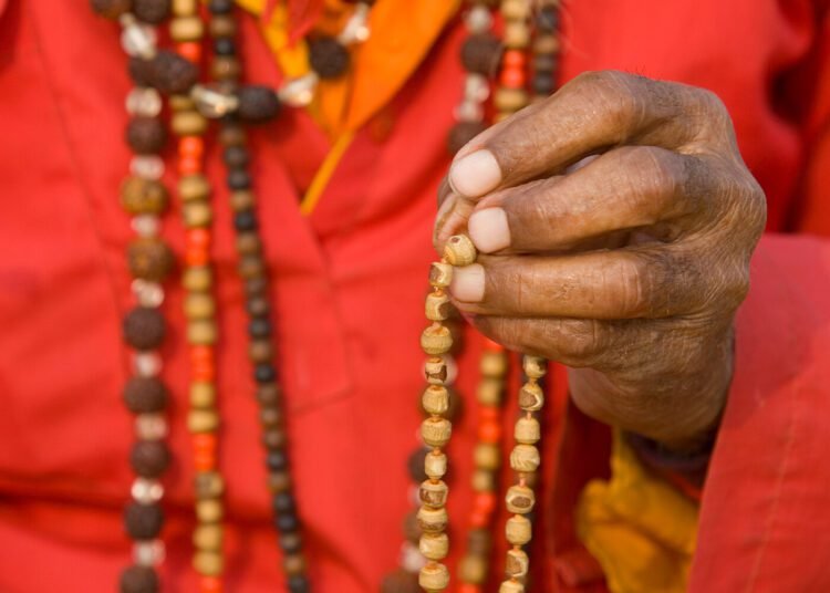 BHNN Visitor Podcast – Ep. 247