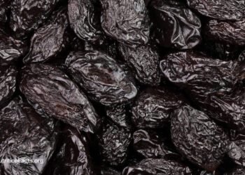 Prunes: Nature’s Reply to Constipation
