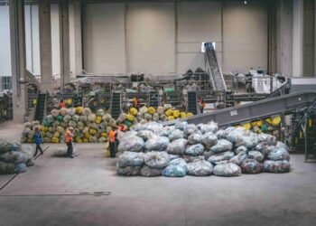 ‘In Romania now, you don’t see a bottle wherever’