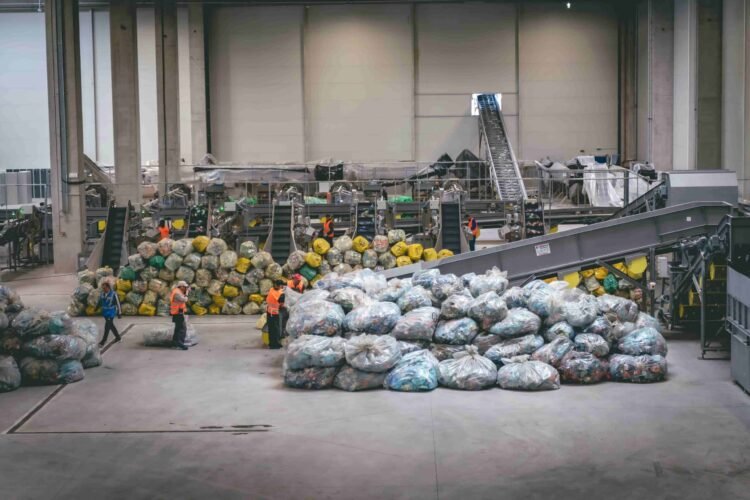 ‘In Romania now, you don’t see a bottle wherever’